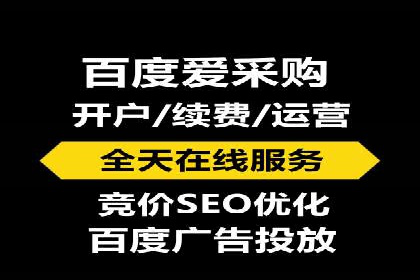某企业通过SEO和SEM双管齐下实现业绩飞跃的案例